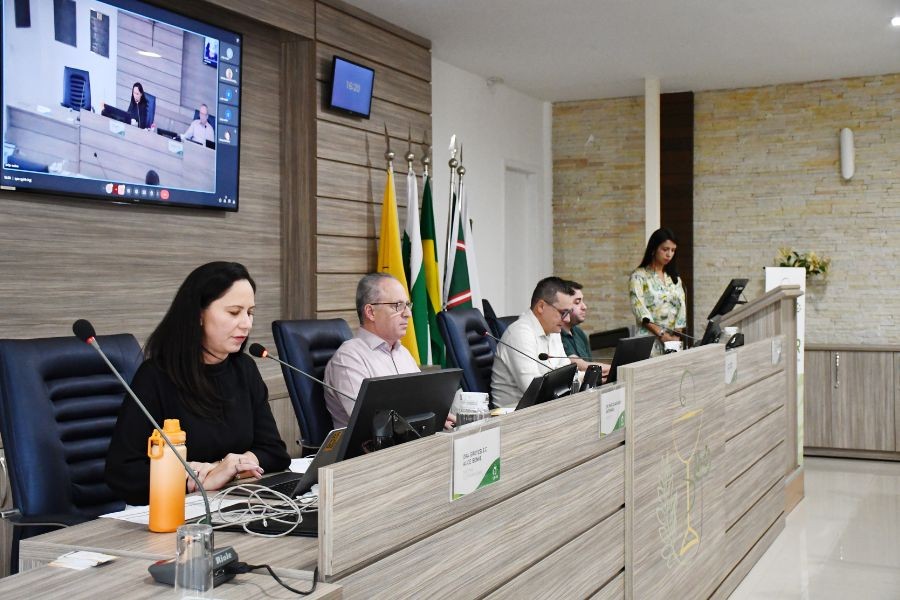 958-reuniao-plenaria-do-crf-pr-debate-temas-essenciais-para-a-categoria