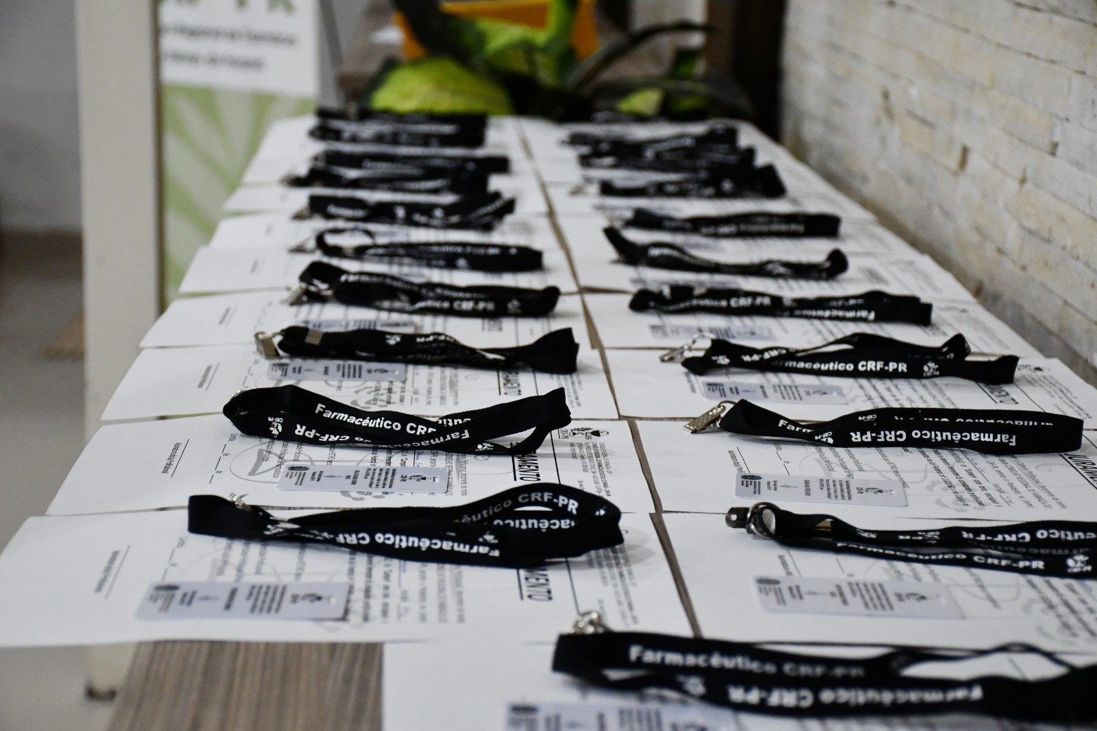 WhatsApp Image 2025-04-01 at 17.54.49 (1).jpeg