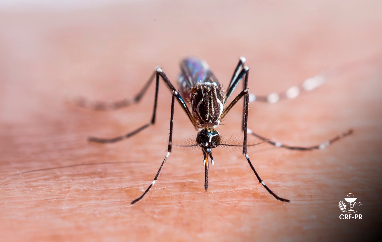 WhatsApp Image 2025-07-22 at 08.51.24 (1).jpeg