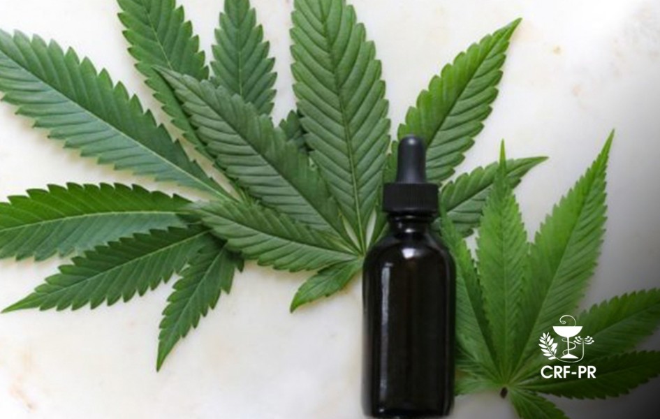 produtos-irregulares-de-cannabis-sao-proibidos