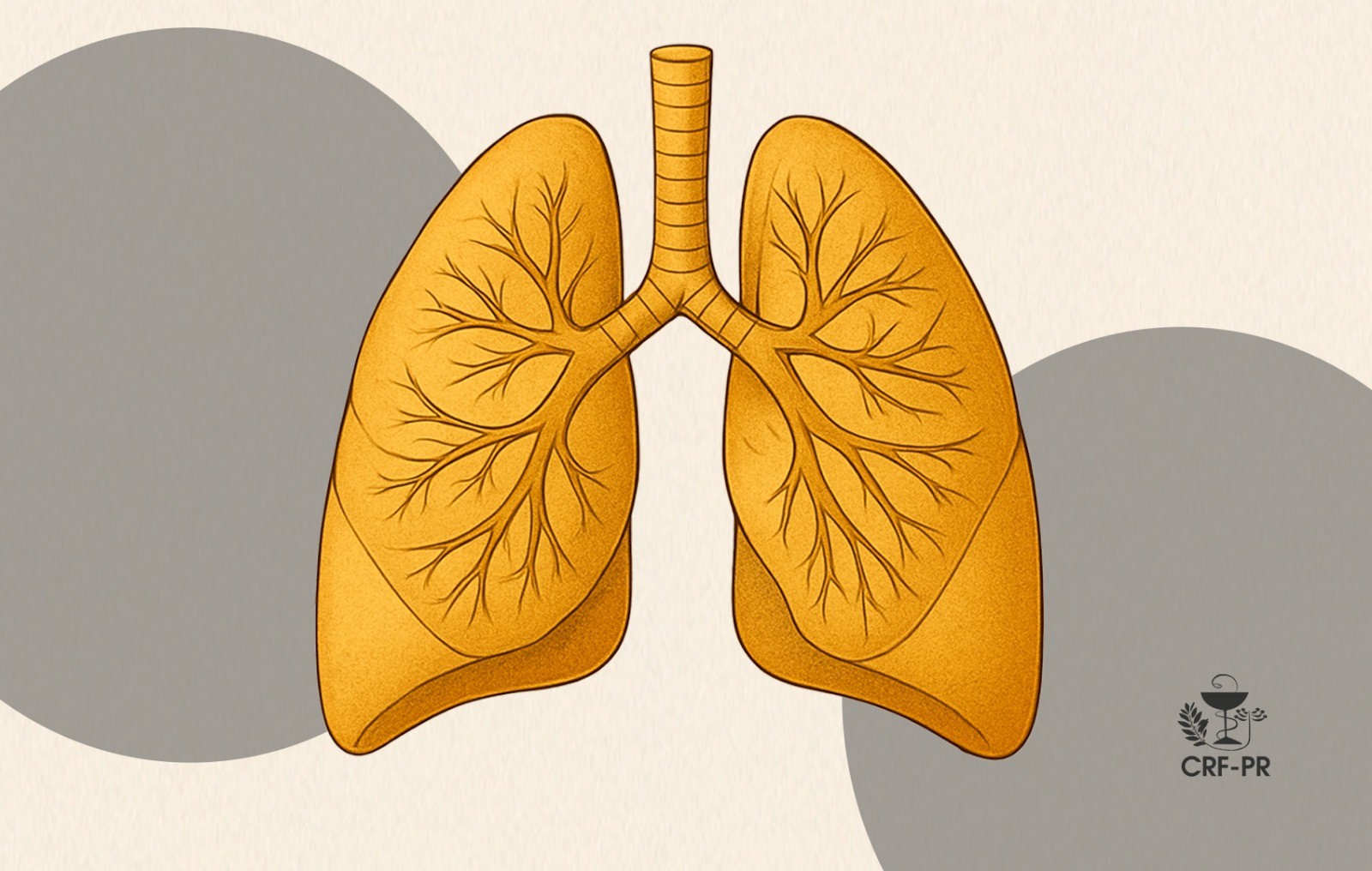 WhatsApp Image 2025-10-15 at 16.45.26.jpeg